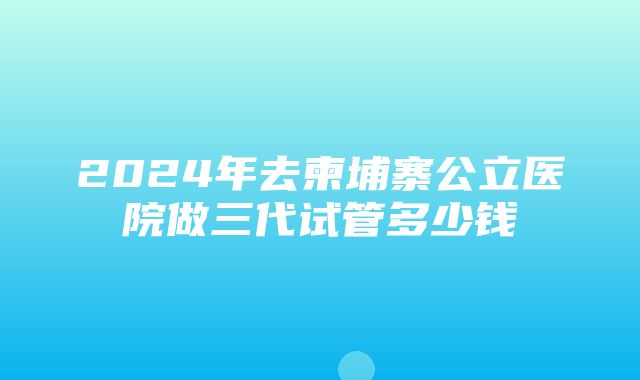 2024年去柬埔寨公立医院做三代试管多少钱