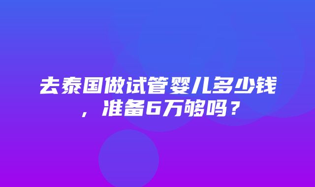 去泰国做试管婴儿多少钱，准备6万够吗？