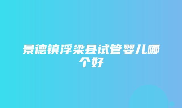 景德镇浮梁县试管婴儿哪个好