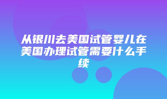 从银川去美国试管婴儿在美国办理试管需要什么手续