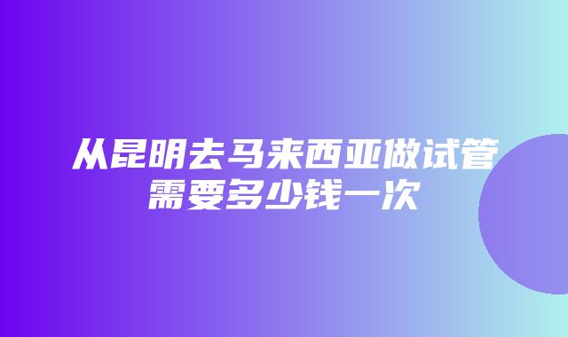 从昆明去马来西亚做试管需要多少钱一次