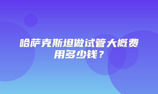 哈萨克斯坦做试管大概费用多少钱？