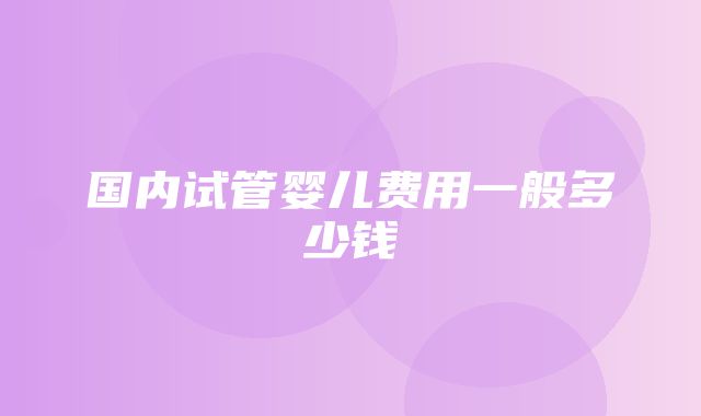 国内试管婴儿费用一般多少钱