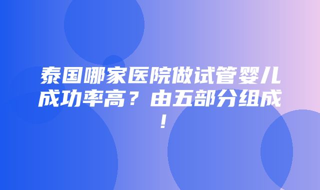 泰国哪家医院做试管婴儿成功率高？由五部分组成！