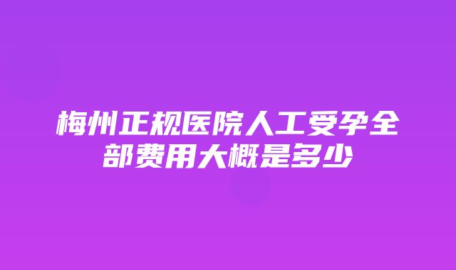 梅州正规医院人工受孕全部费用大概是多少