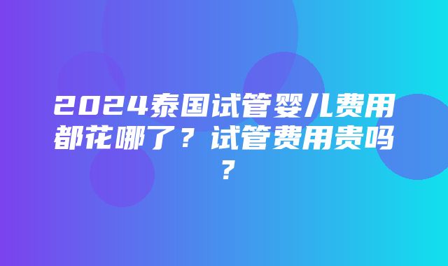 2024泰国试管婴儿费用都花哪了？试管费用贵吗？