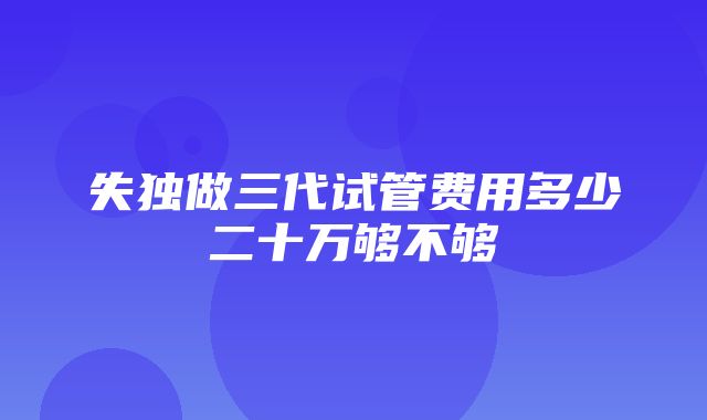 失独做三代试管费用多少二十万够不够