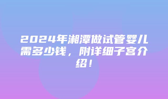 2024年湘潭做试管婴儿需多少钱，附详细子宫介绍！