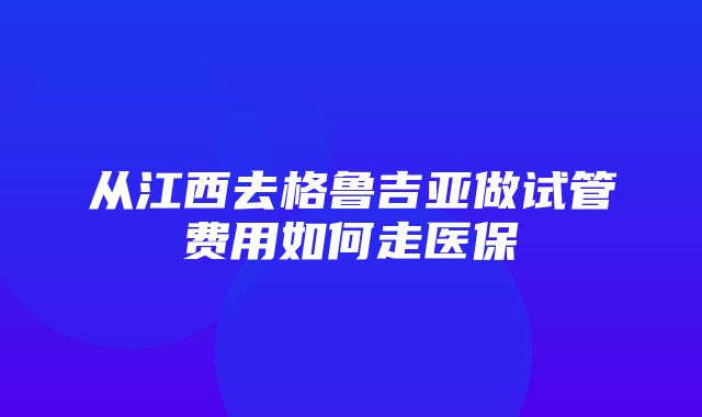 从江西去格鲁吉亚做试管费用如何走医保