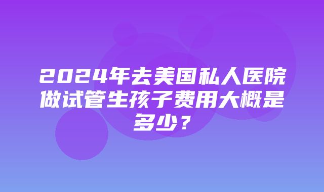 2024年去美国私人医院做试管生孩子费用大概是多少？