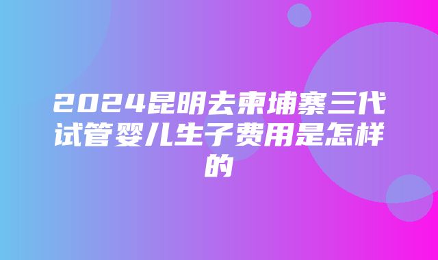 2024昆明去柬埔寨三代试管婴儿生子费用是怎样的