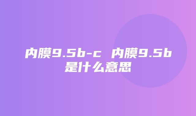 内膜9.5b-c 内膜9.5b是什么意思