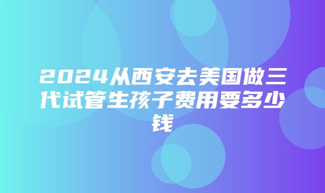 2024从西安去美国做三代试管生孩子费用要多少钱