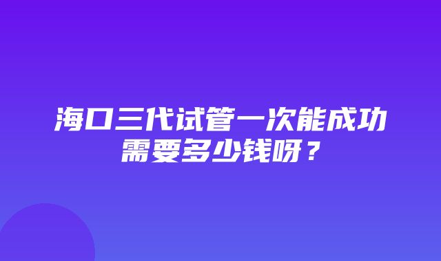 海口三代试管一次能成功需要多少钱呀？