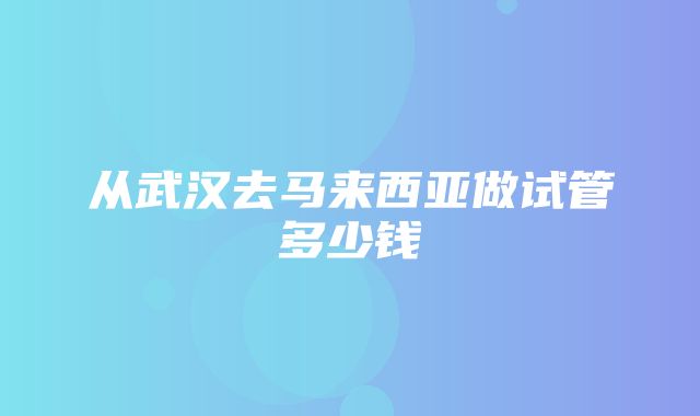 从武汉去马来西亚做试管多少钱