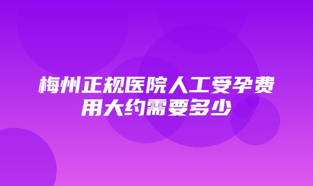 梅州正规医院人工受孕费用大约需要多少