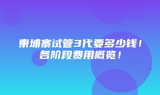 柬埔寨试管3代要多少钱！各阶段费用概览！