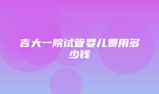 吉大一院试管婴儿费用多少钱