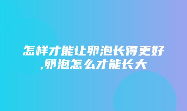 怎样才能让卵泡长得更好,卵泡怎么才能长大