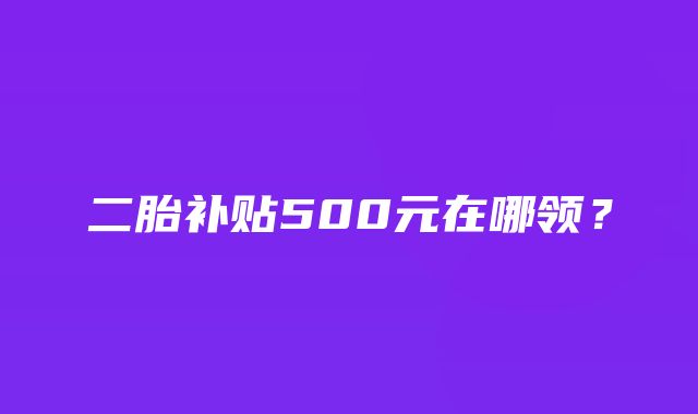 二胎补贴500元在哪领？