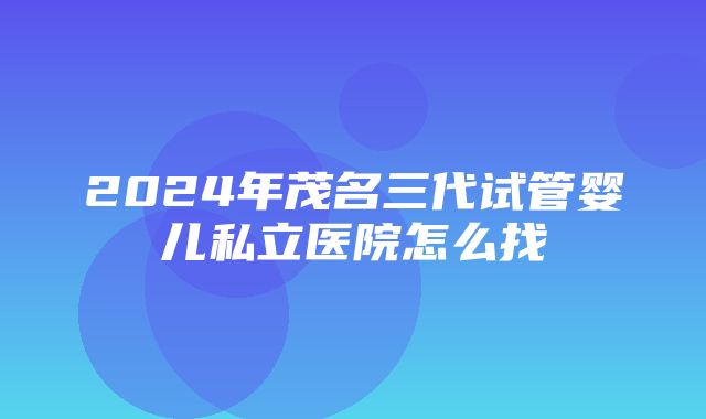 2024年茂名三代试管婴儿私立医院怎么找