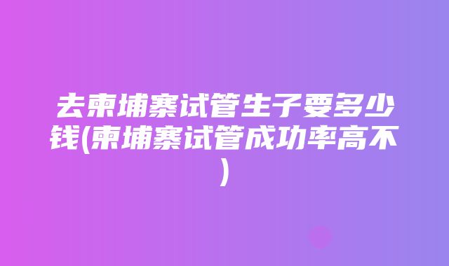 去柬埔寨试管生子要多少钱(柬埔寨试管成功率高不)