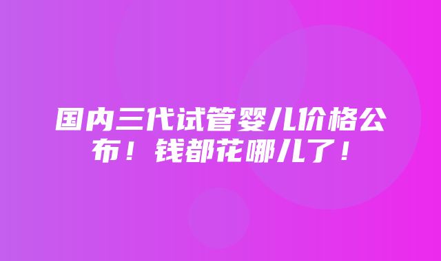 国内三代试管婴儿价格公布！钱都花哪儿了！