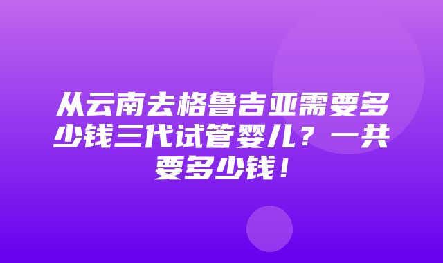 从云南去格鲁吉亚需要多少钱三代试管婴儿？一共要多少钱！