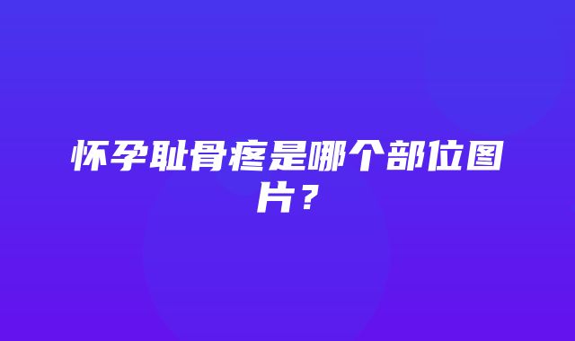 怀孕耻骨疼是哪个部位图片？