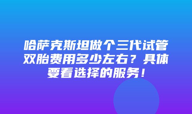 哈萨克斯坦做个三代试管双胎费用多少左右？具体要看选择的服务！