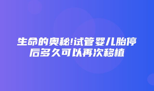 生命的奥秘!试管婴儿胎停后多久可以再次移植