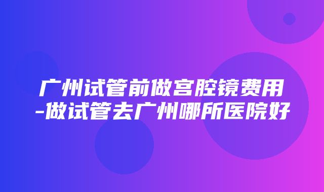 广州试管前做宫腔镜费用-做试管去广州哪所医院好