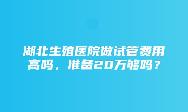 湖北生殖医院做试管费用高吗，准备20万够吗？