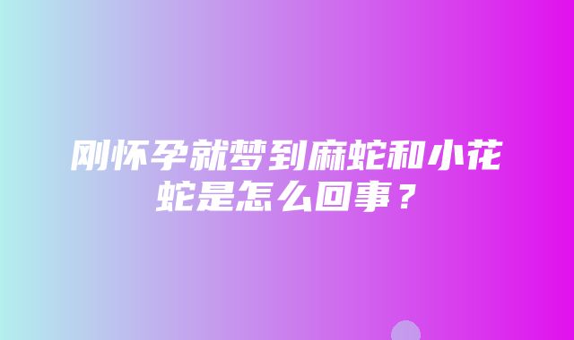 刚怀孕就梦到麻蛇和小花蛇是怎么回事？