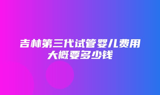 吉林第三代试管婴儿费用大概要多少钱