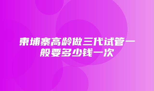 柬埔寨高龄做三代试管一般要多少钱一次