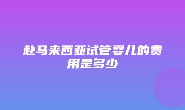 赴马来西亚试管婴儿的费用是多少