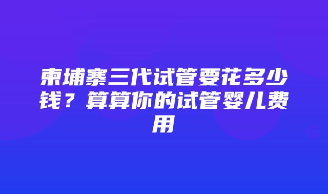 柬埔寨三代试管要花多少钱？算算你的试管婴儿费用