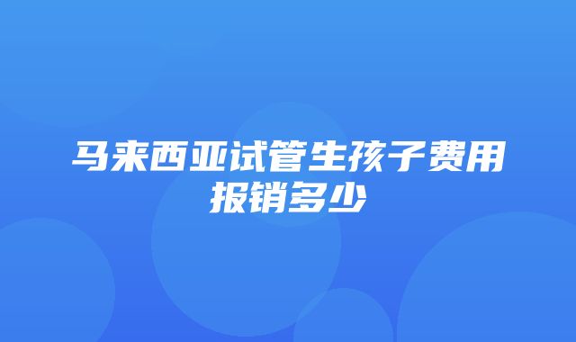 马来西亚试管生孩子费用报销多少