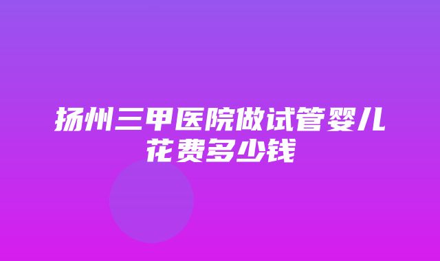 扬州三甲医院做试管婴儿花费多少钱