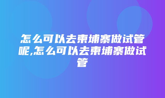 怎么可以去柬埔寨做试管呢,怎么可以去柬埔寨做试管