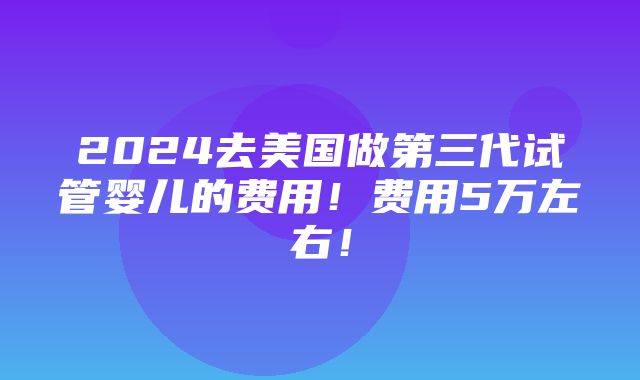 2024去美国做第三代试管婴儿的费用！费用5万左右！