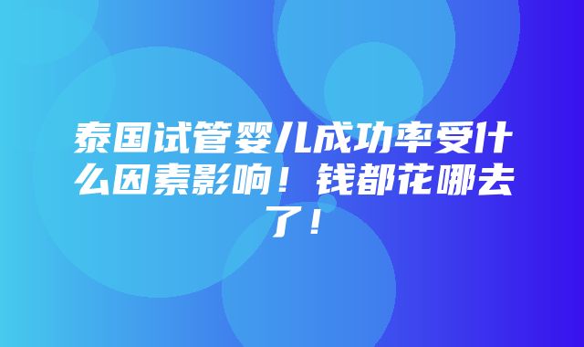 泰国试管婴儿成功率受什么因素影响！钱都花哪去了！