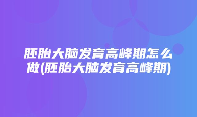 胚胎大脑发育高峰期怎么做(胚胎大脑发育高峰期)