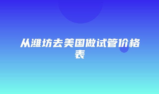 从潍坊去美国做试管价格表