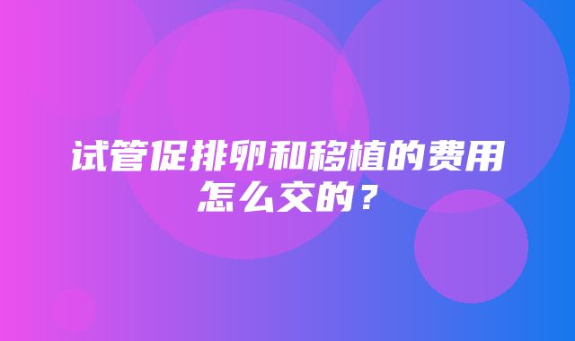 试管促排卵和移植的费用怎么交的？