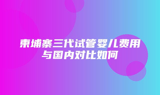 柬埔寨三代试管婴儿费用与国内对比如何