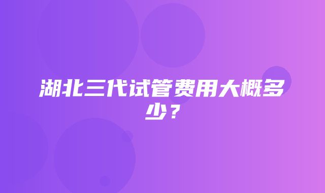 湖北三代试管费用大概多少？