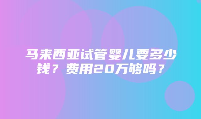 马来西亚试管婴儿要多少钱？费用20万够吗？