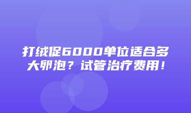 打绒促6000单位适合多大卵泡？试管治疗费用！